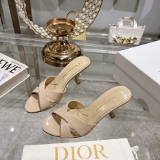 Christian Dior Slippers